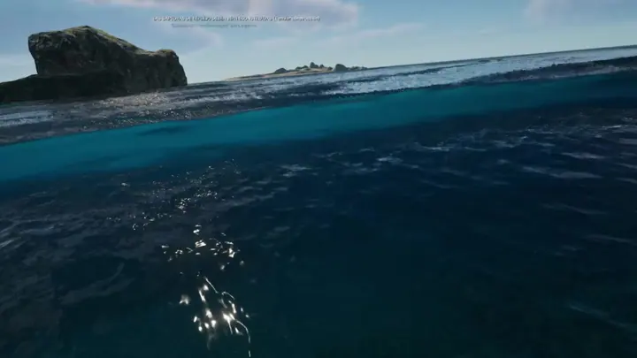 Surf VR